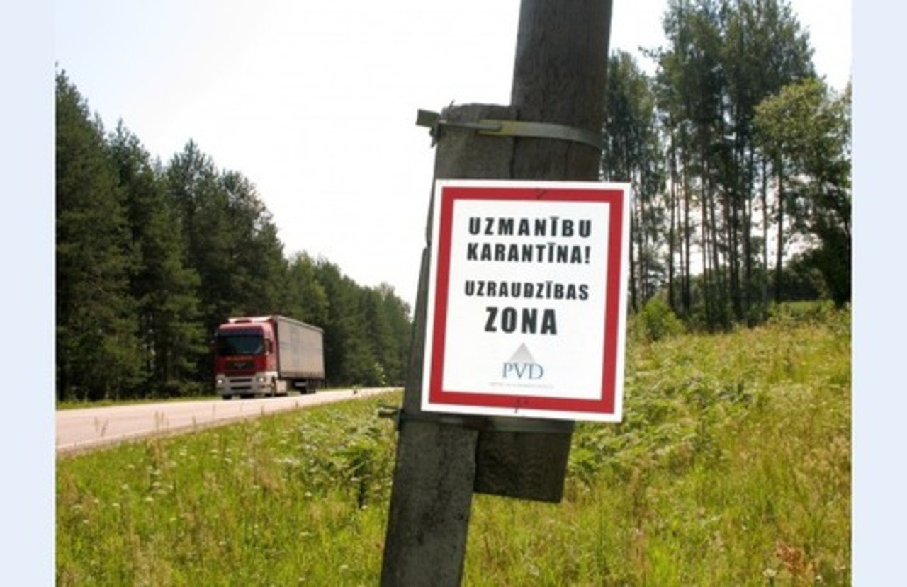 foto: diena.lv