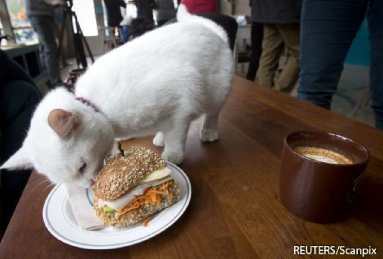 foto: Reuters