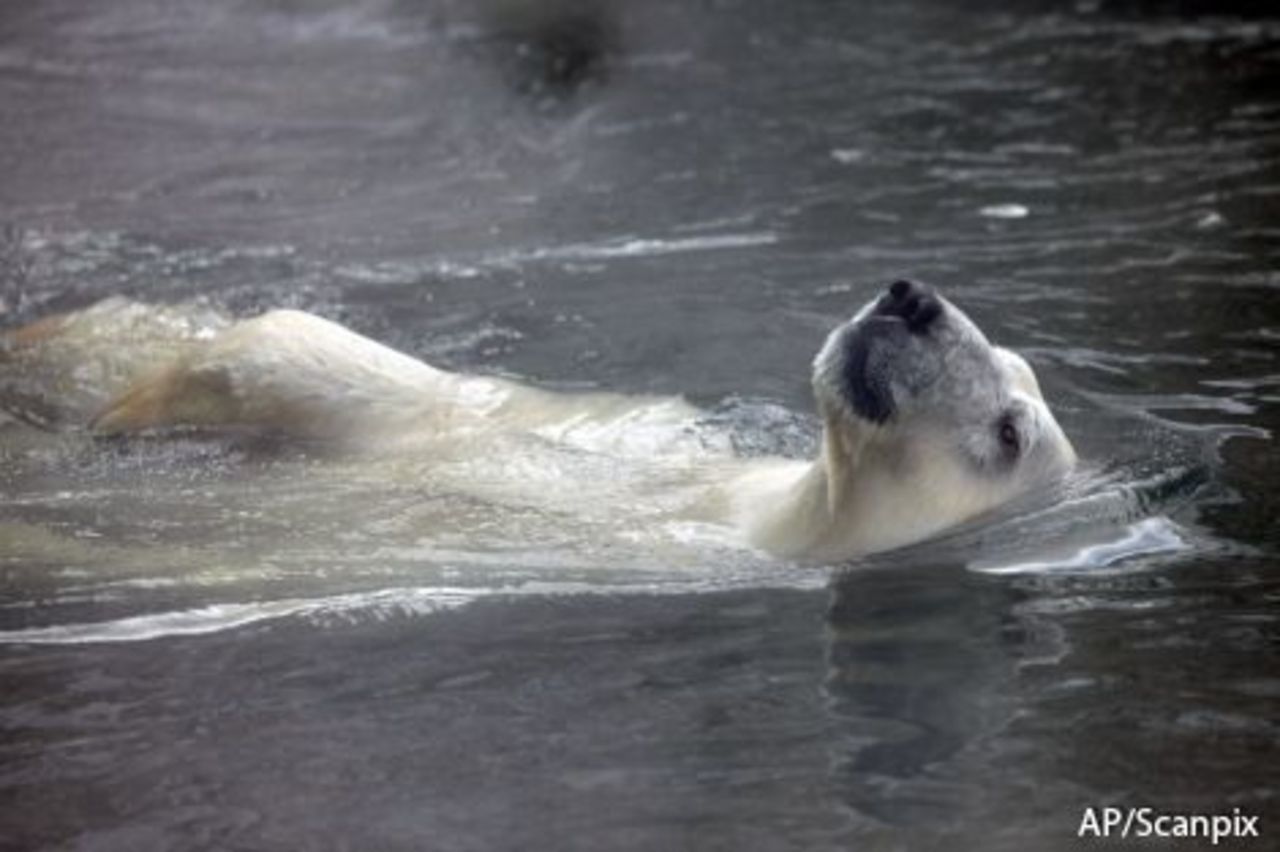 foto: AP