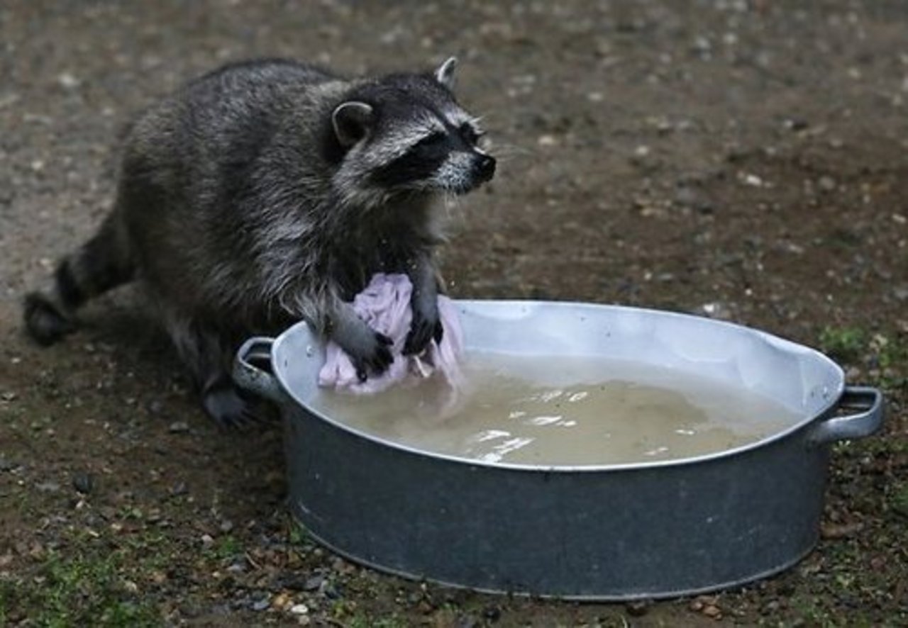 foto: Reuters