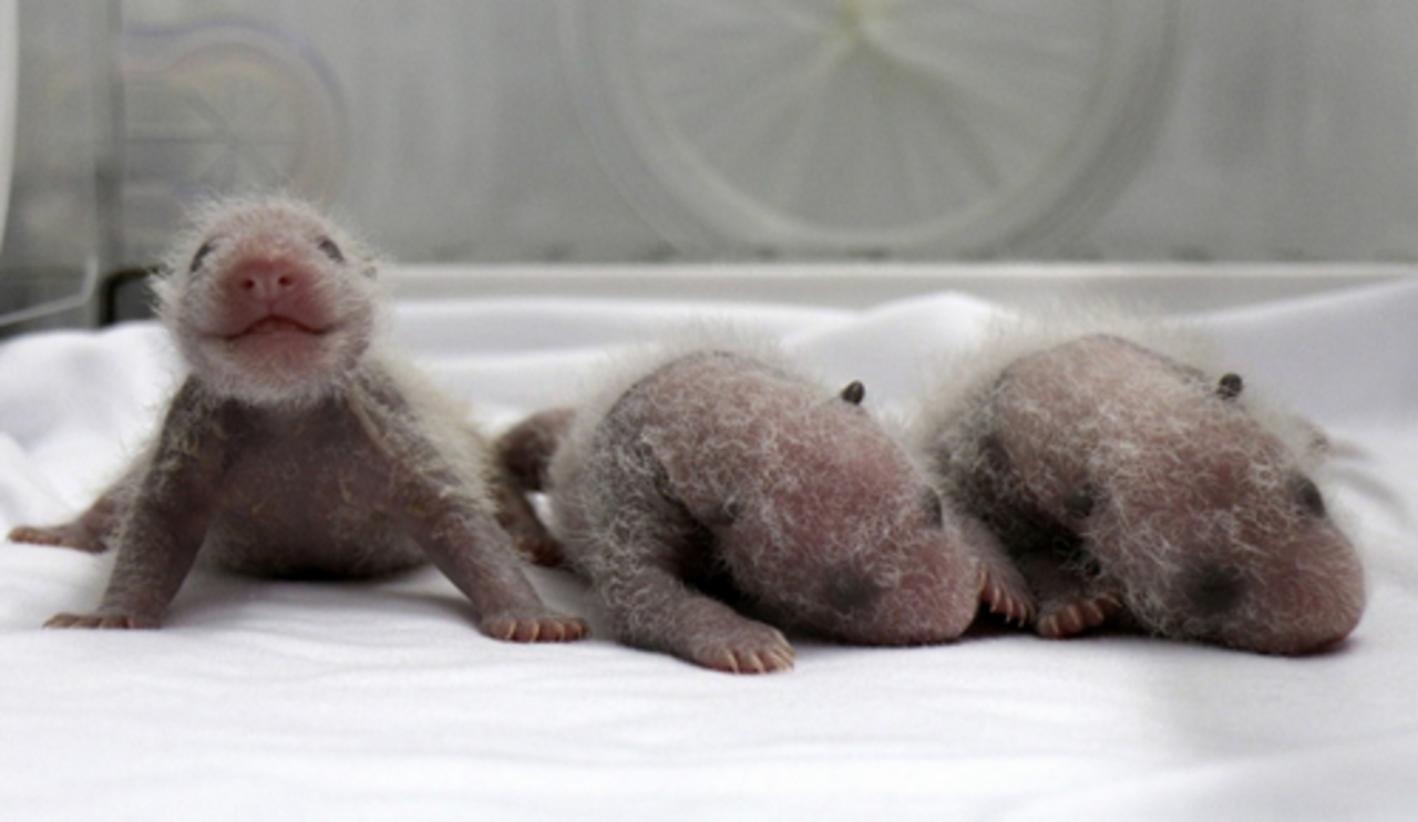 foto: Reuters