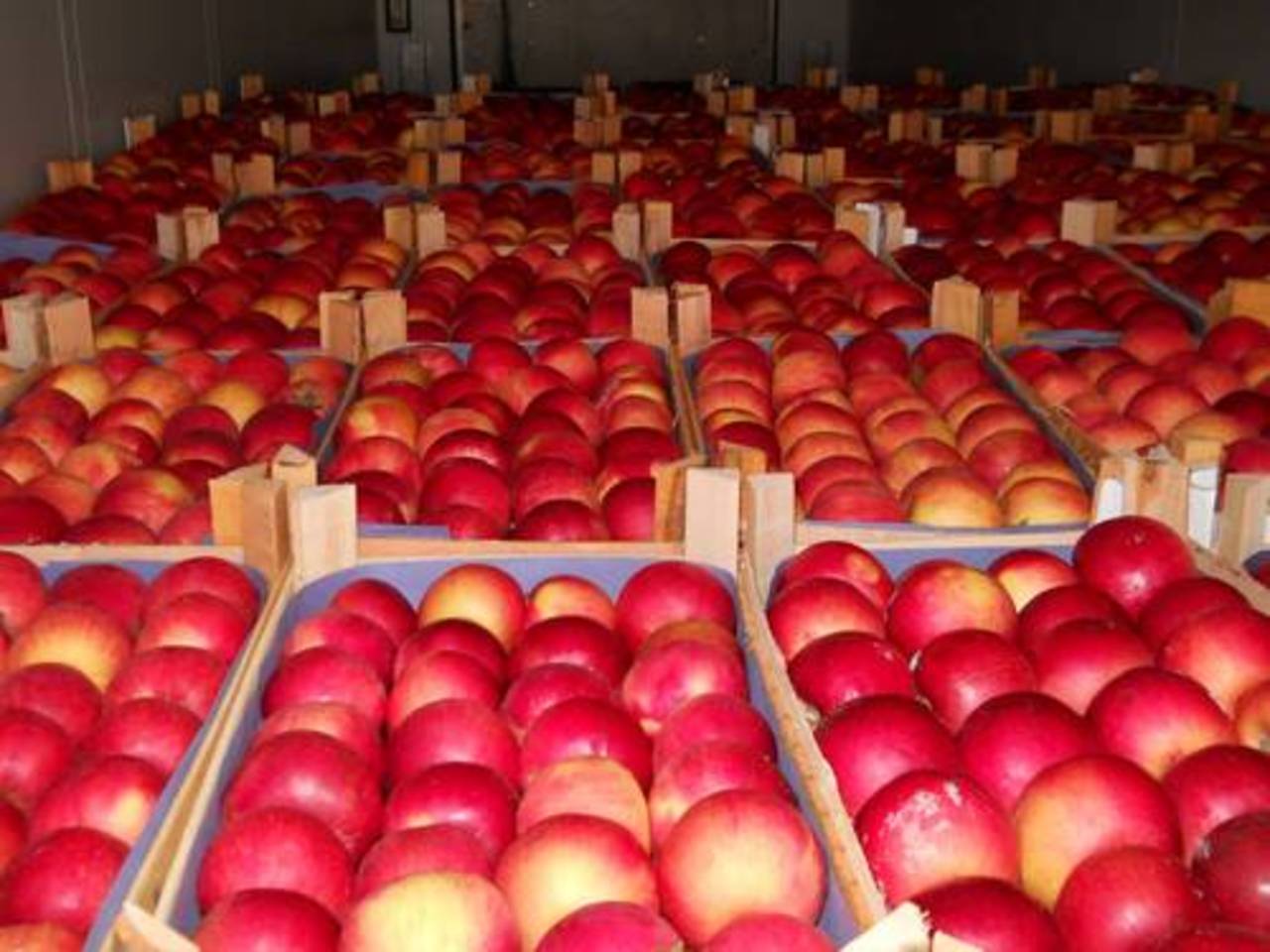 фото: agroinfo.com
