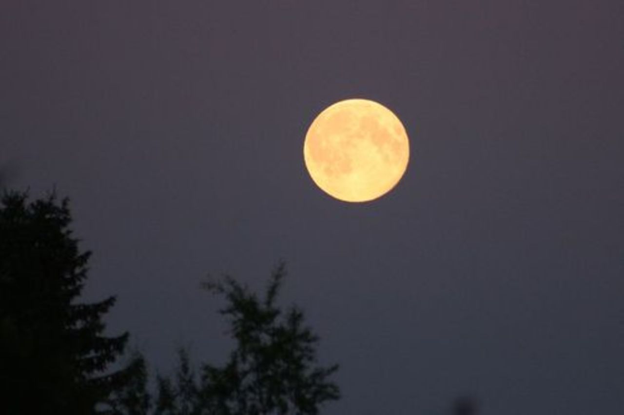фото: yle.fi
