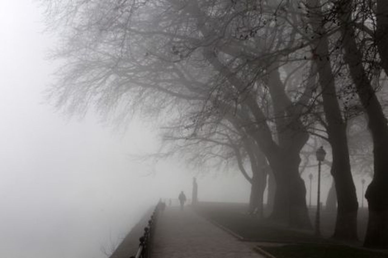 фото: mixnews.lv