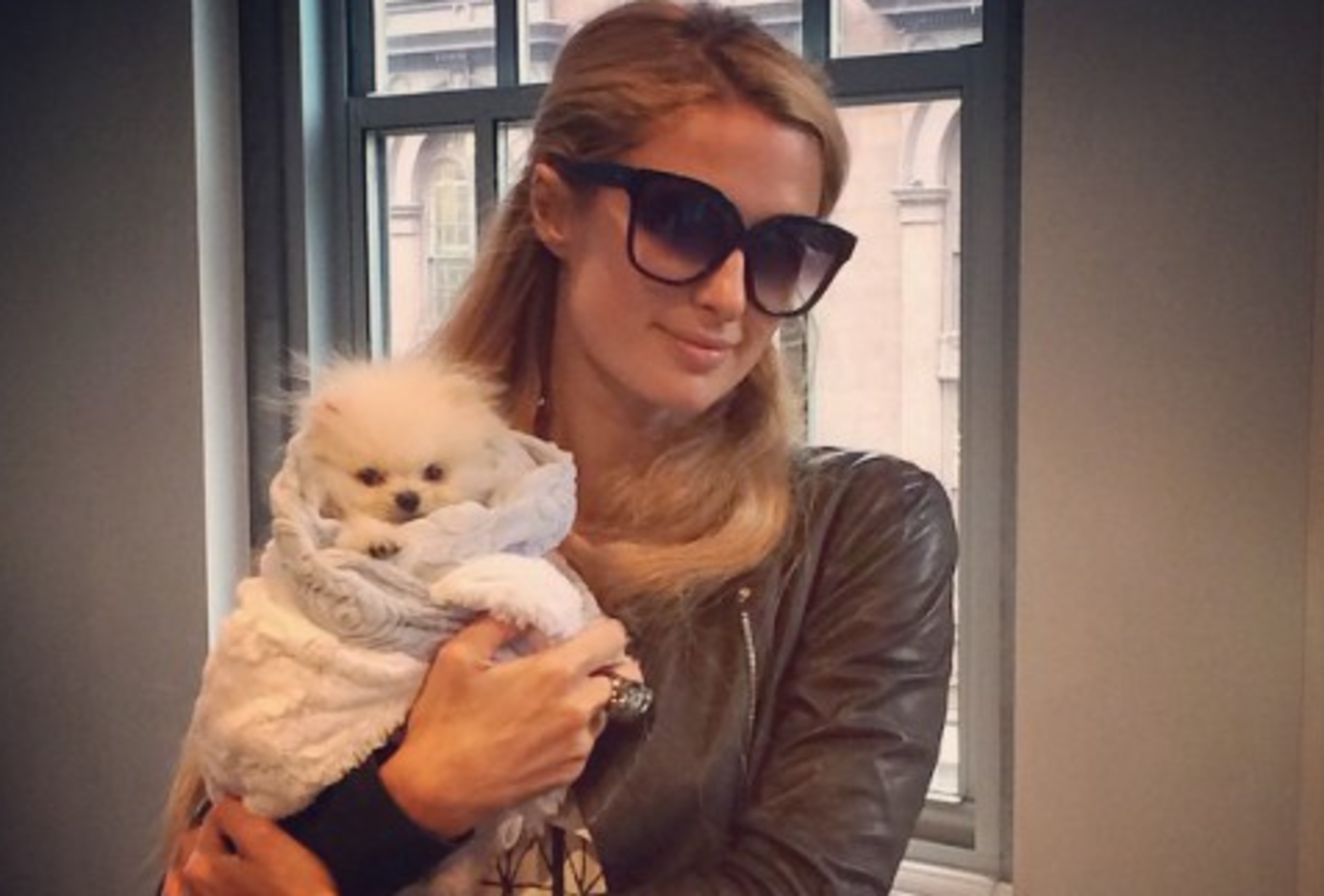 фото: instagram.com/parishilton