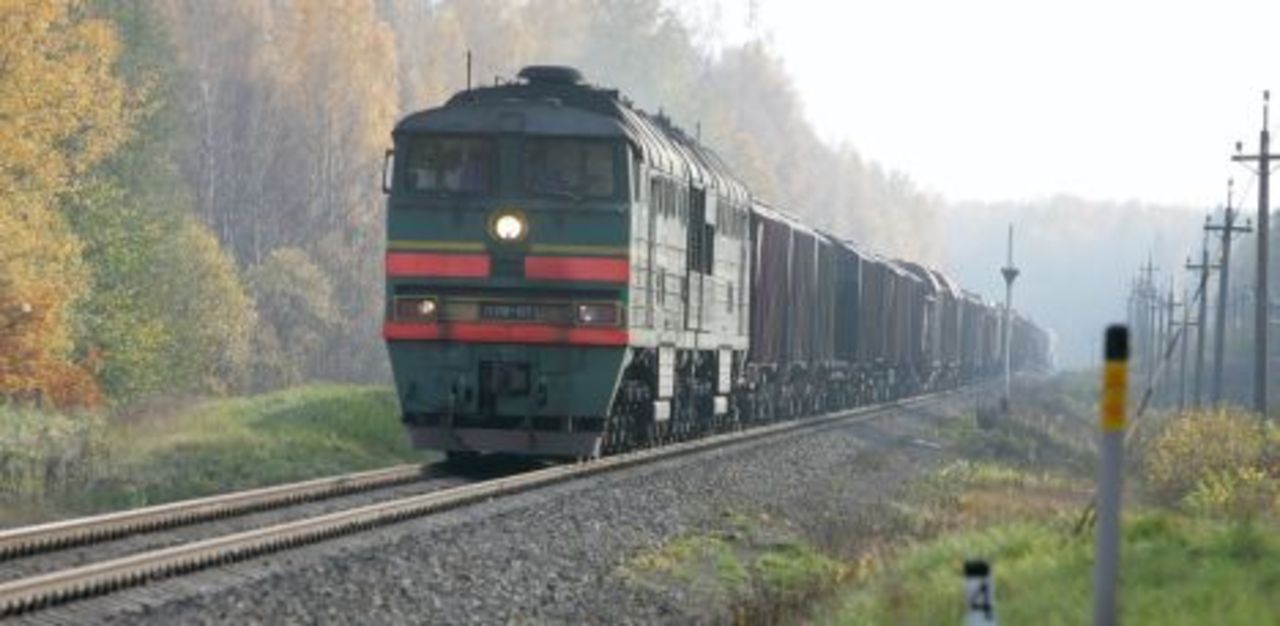 фото: bnn-news.ru