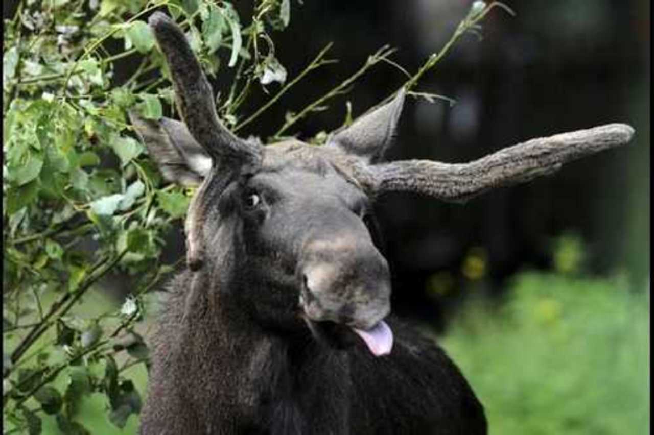 фото: huffingtonpost.co.uk