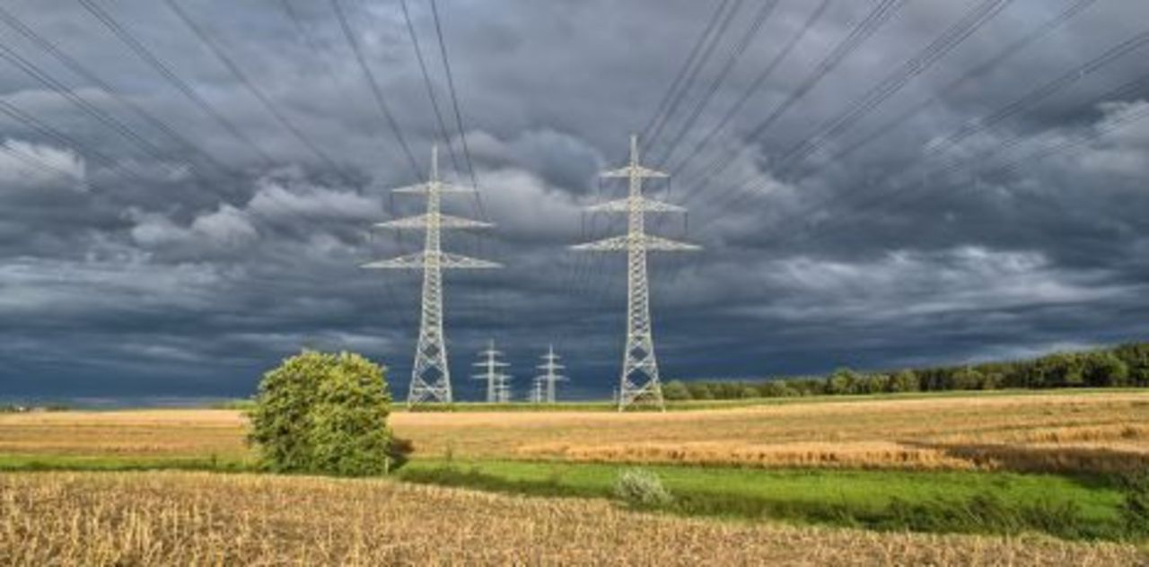 фото: bnn-news.ru