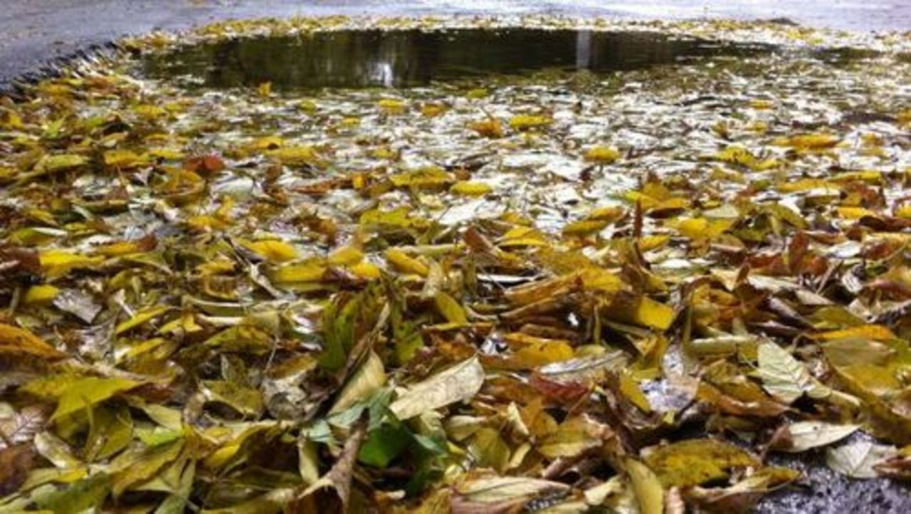 фото: altapress.ru