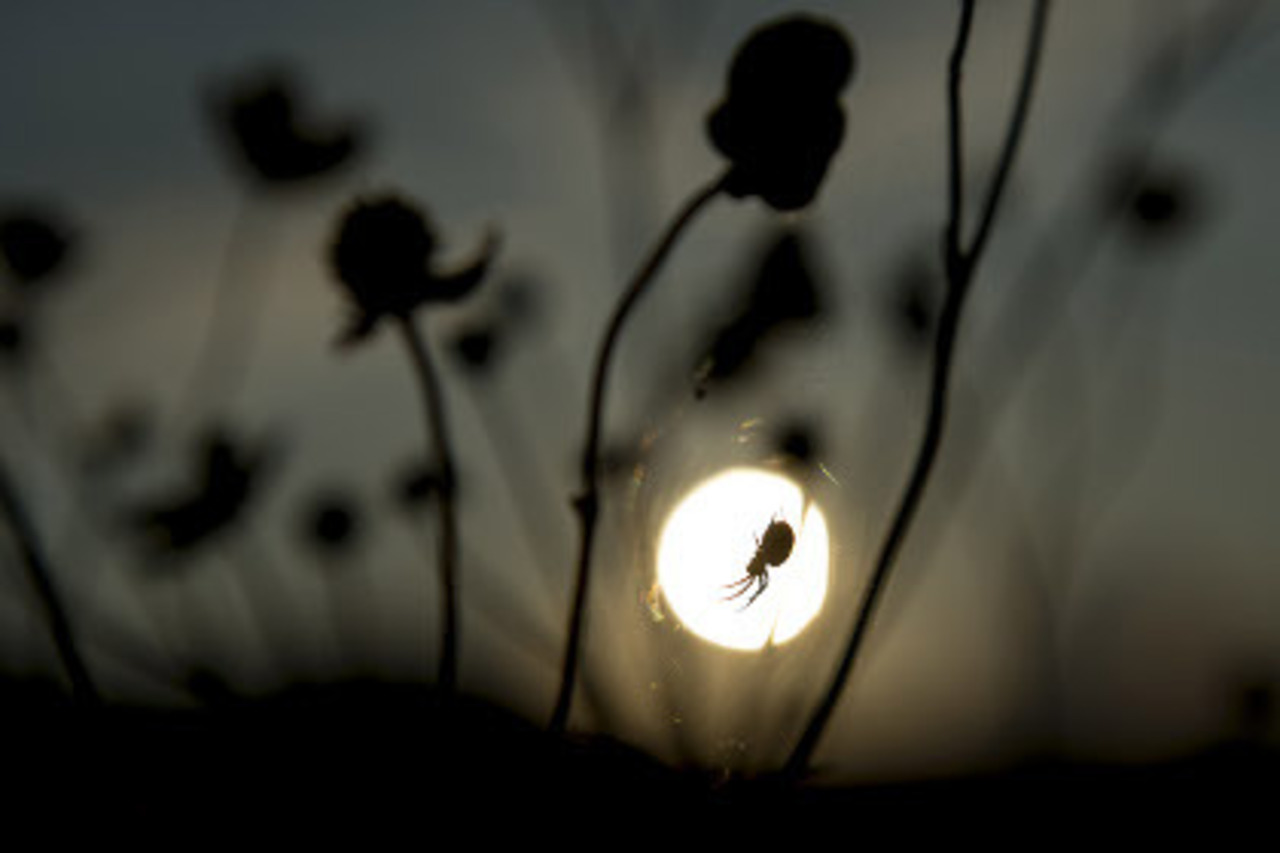 фото: lenta.ru
