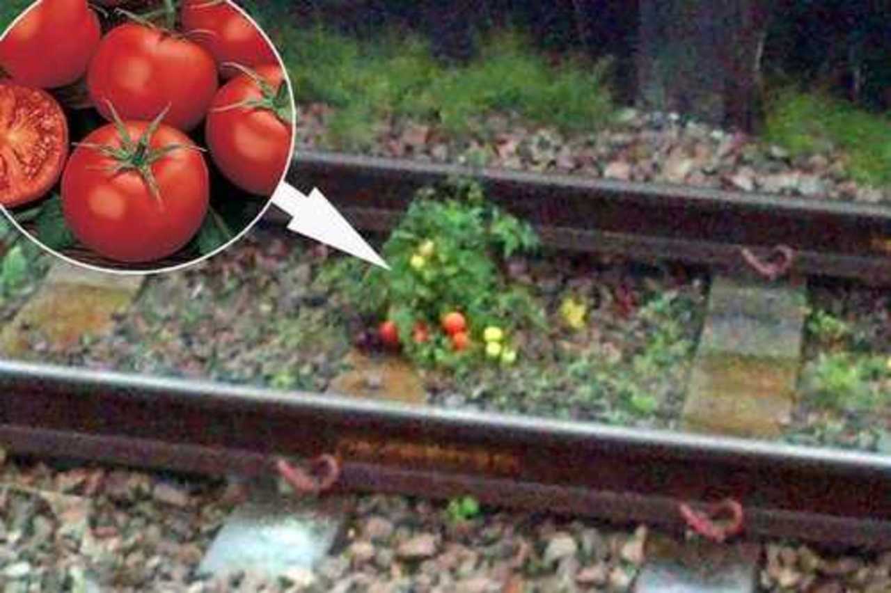 фото: dailymail.co.uk