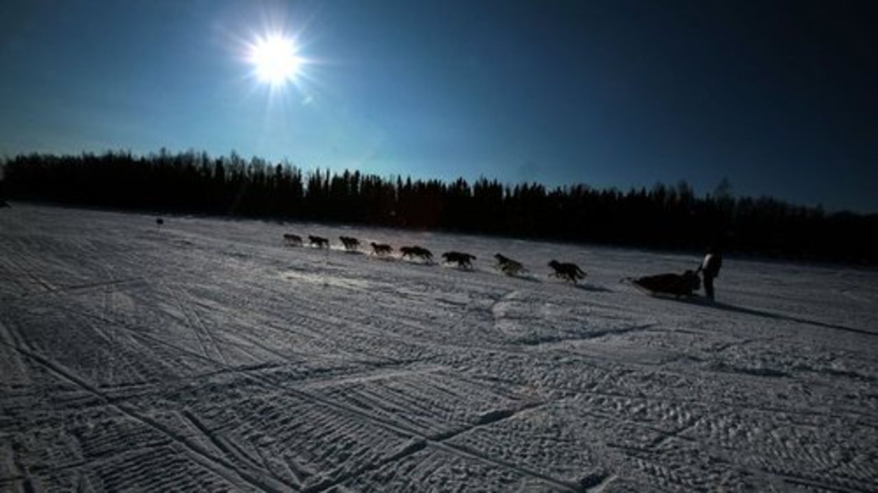 фото: russian.rt.com