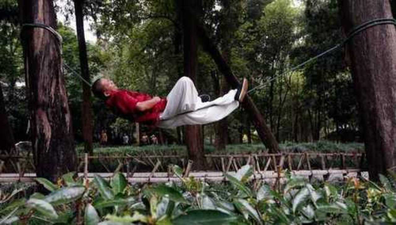 фото: odditycentral.com