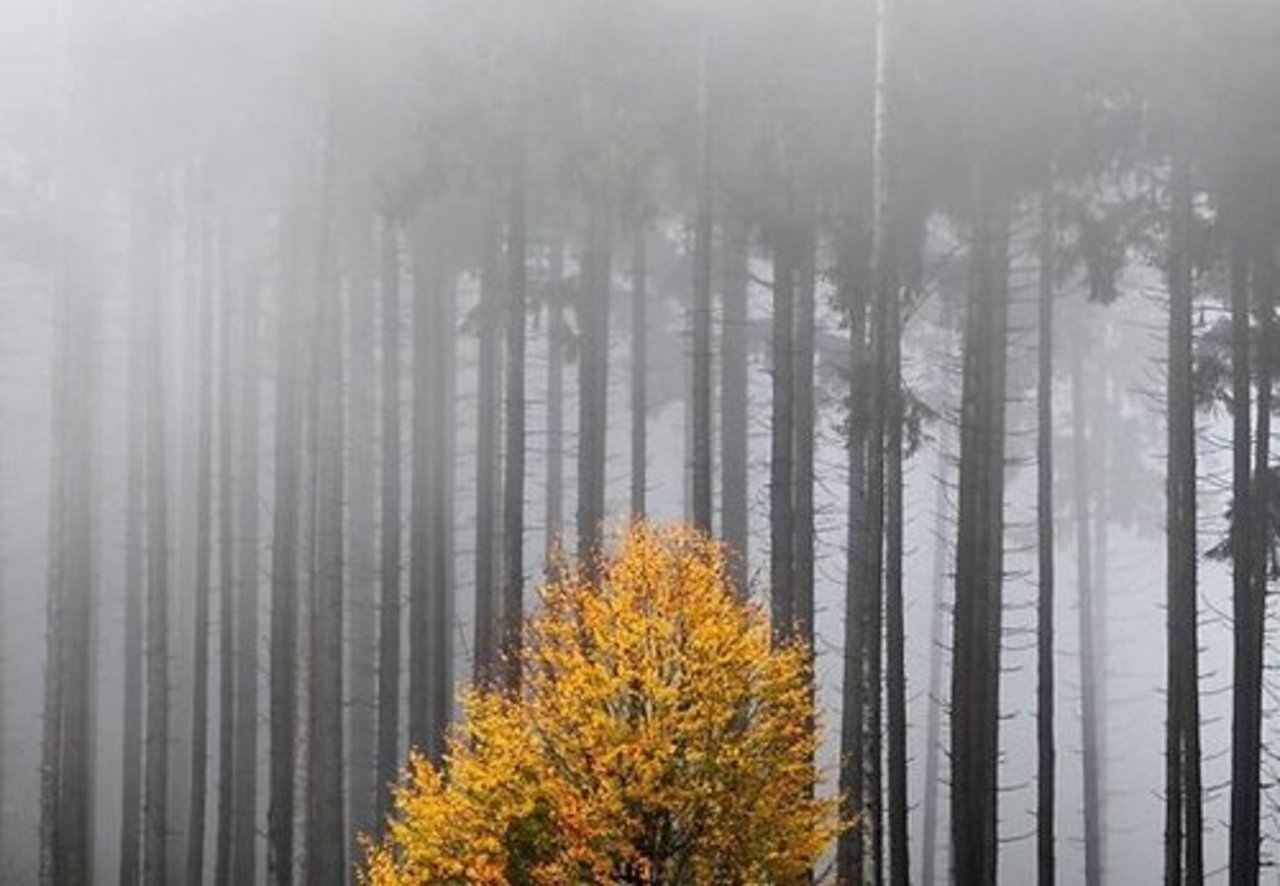 фото: AP