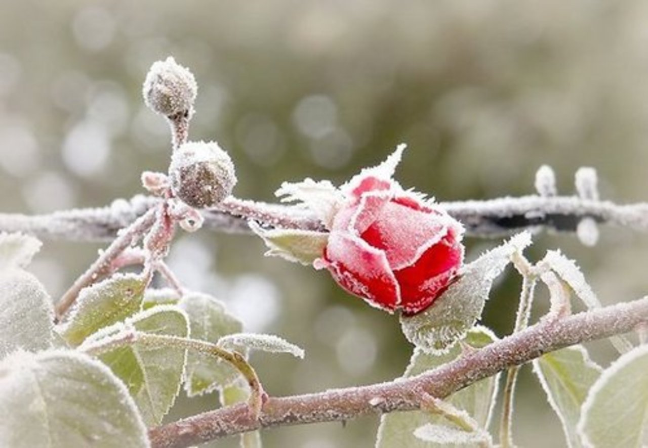 фото: Shutterstock