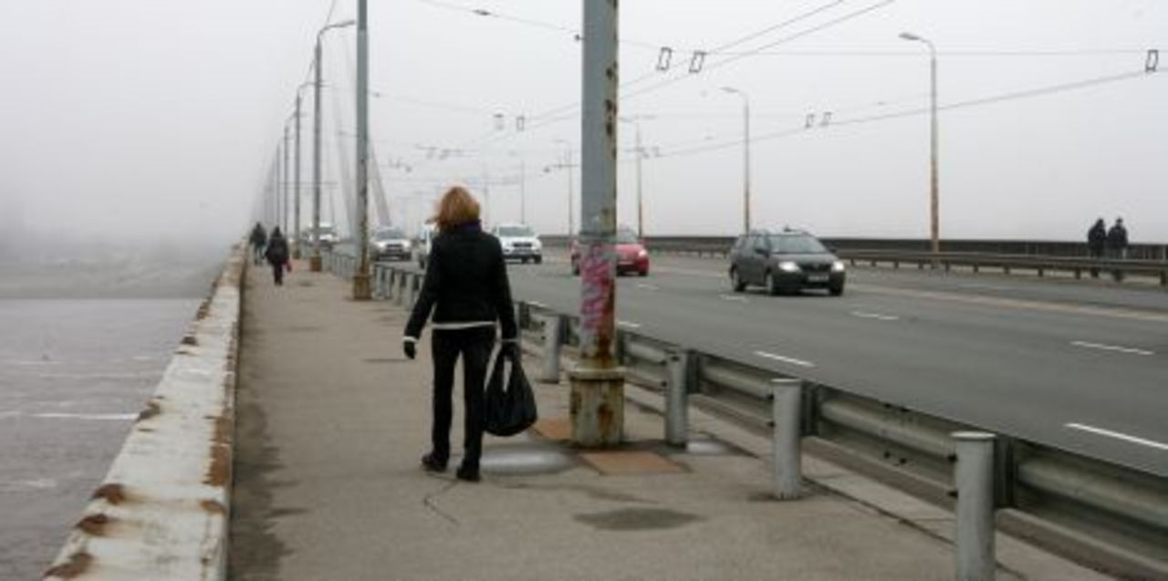 фото: bnn-news.ru