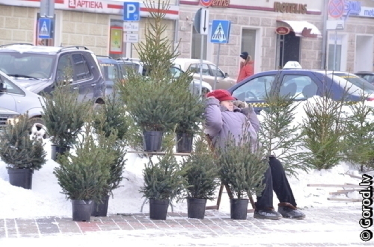 фото: gorod.lv