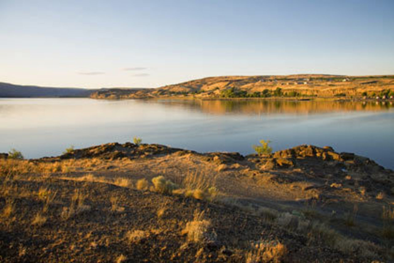 фото: lenta.ru