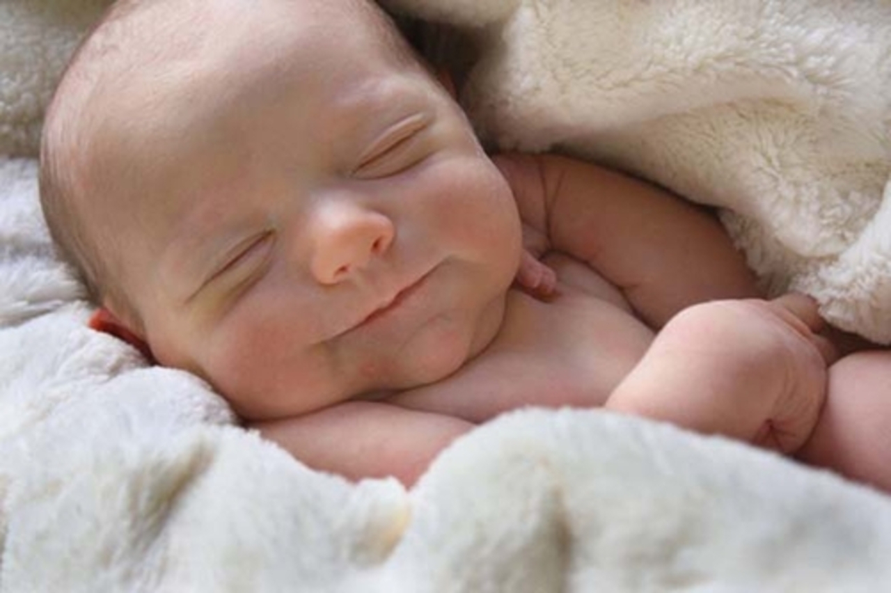 фото: пресс-фото