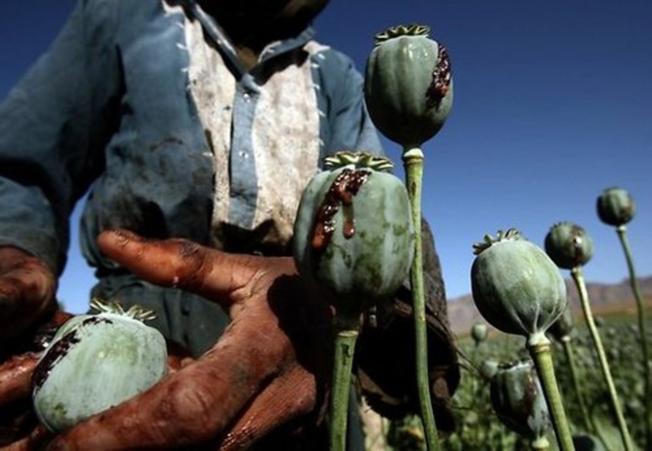 фото: Reuters