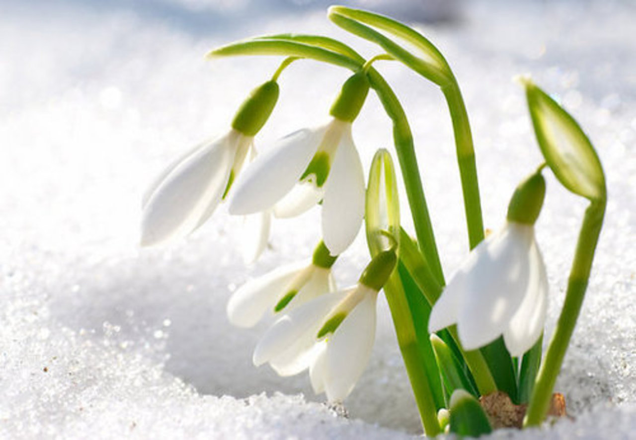 фото: Shutterstock
