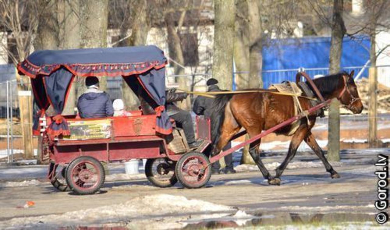 фото: gorod.lv