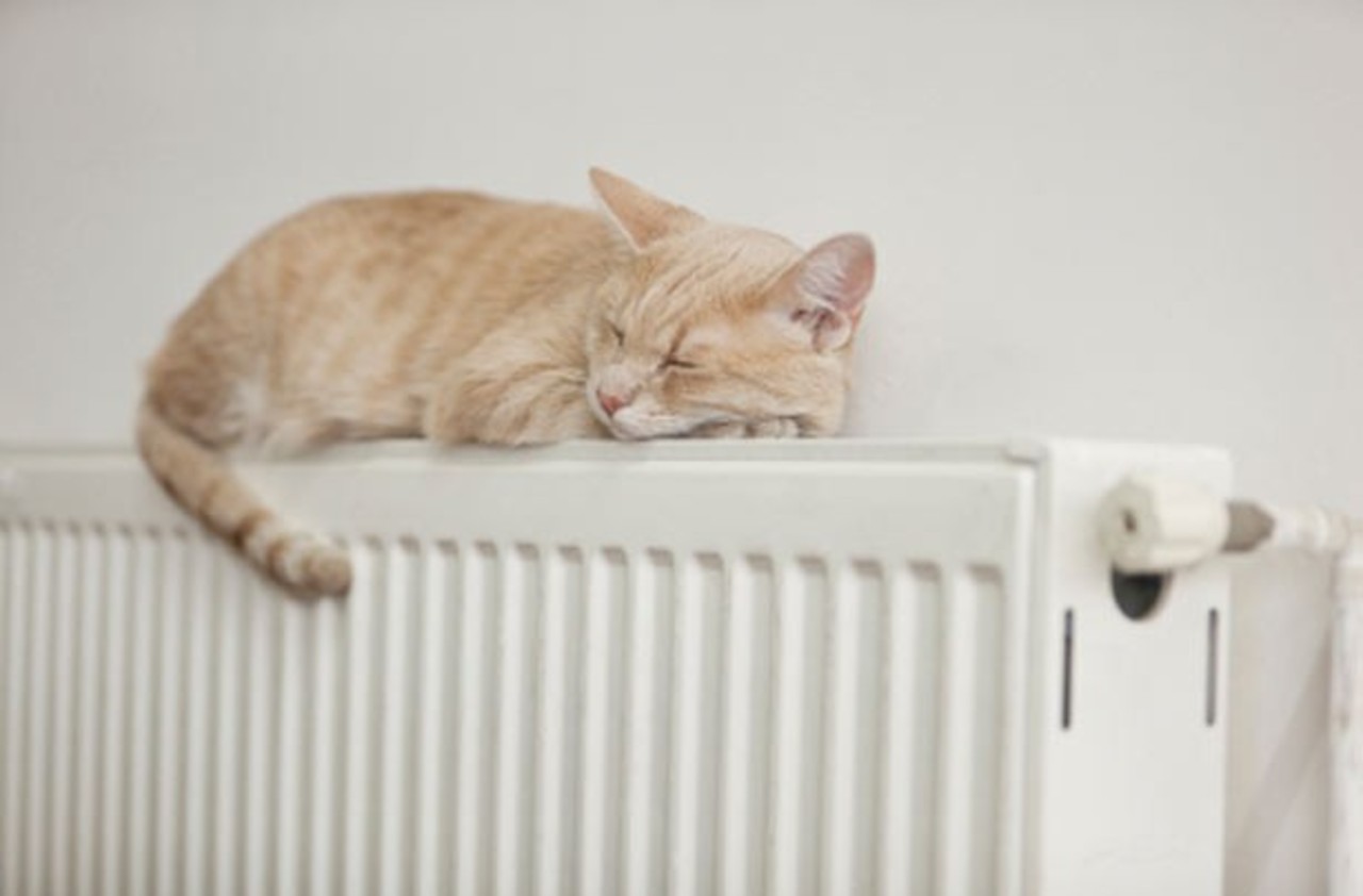 thecentralheating.co.uk