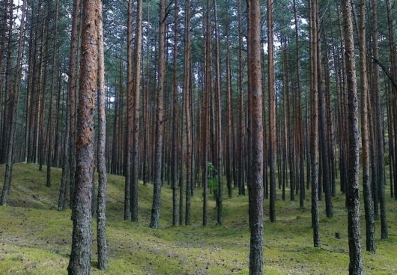 EricRenc, panoramio.com
