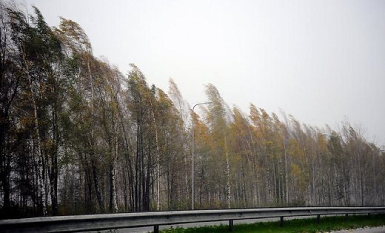 rus.DELFI.lv