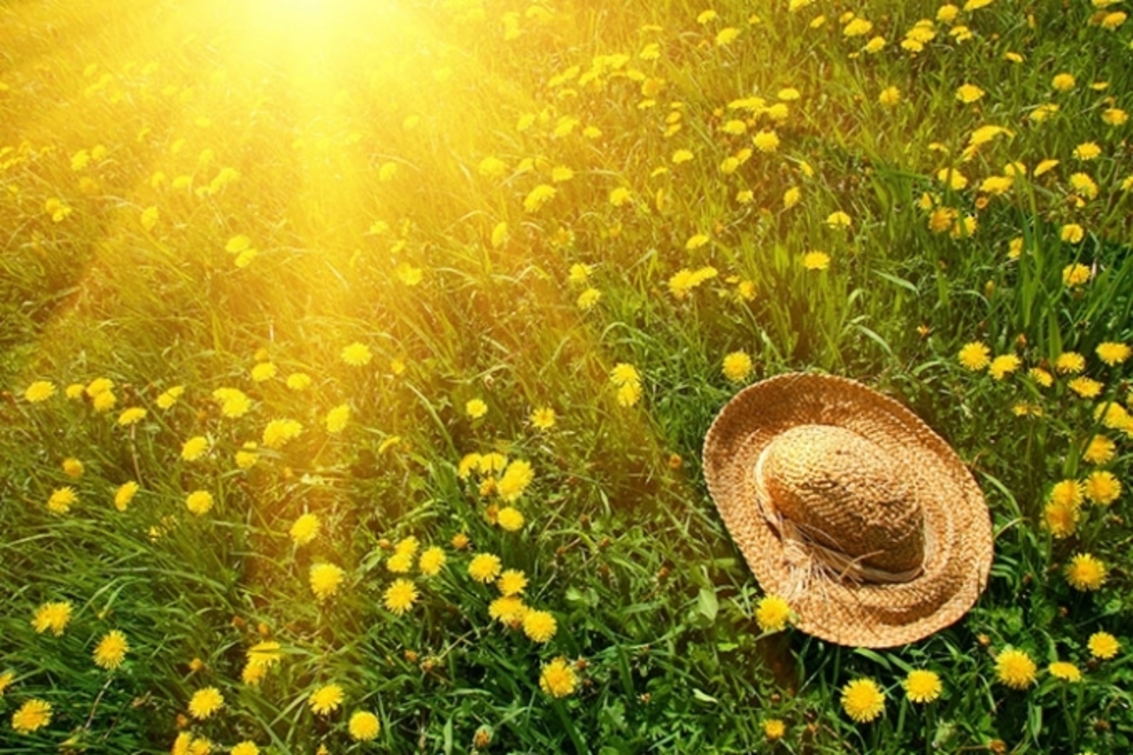 mrwallpaper.com