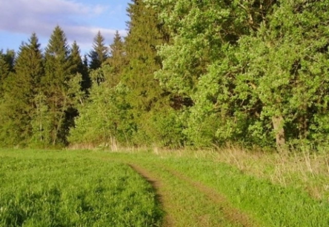 ribakovs.lv