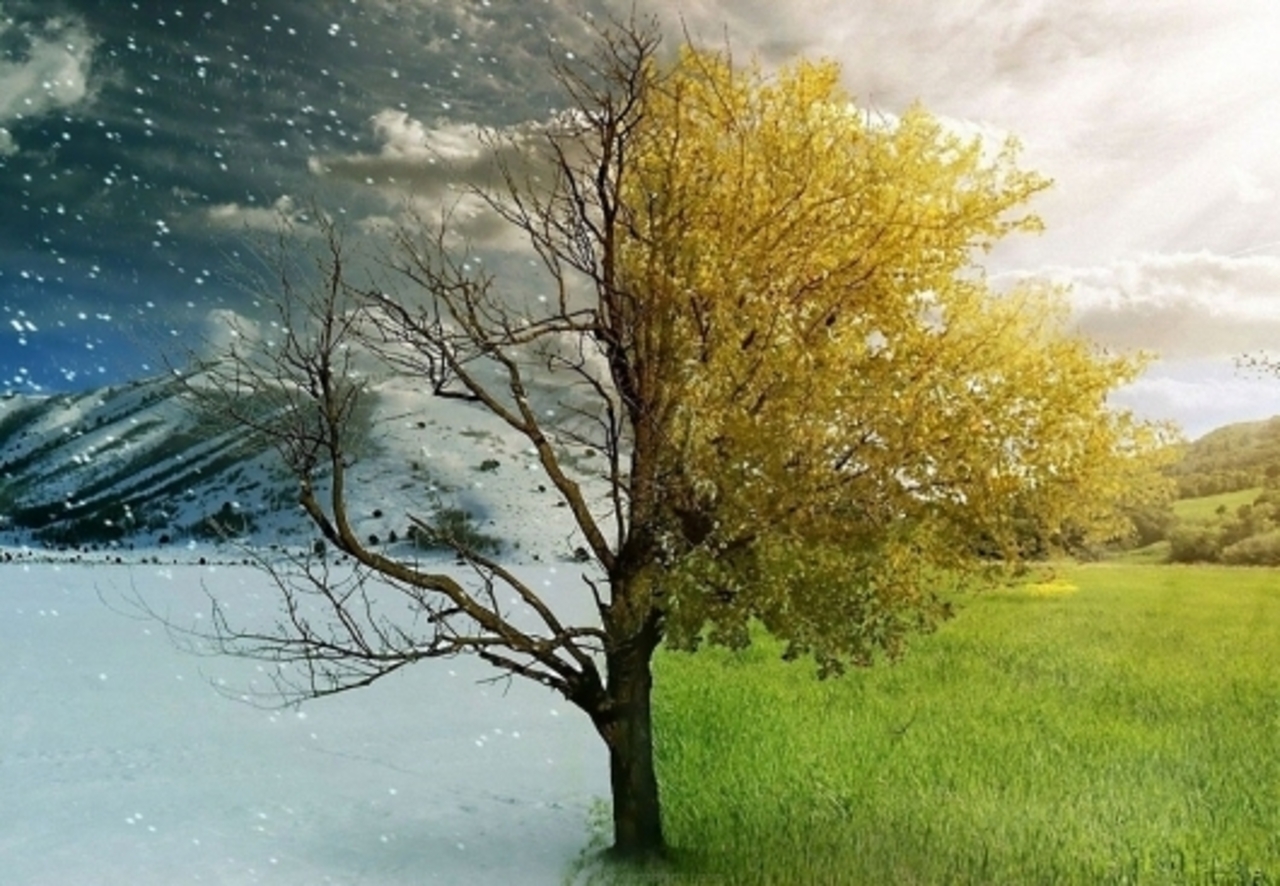 wallpapermania.eu