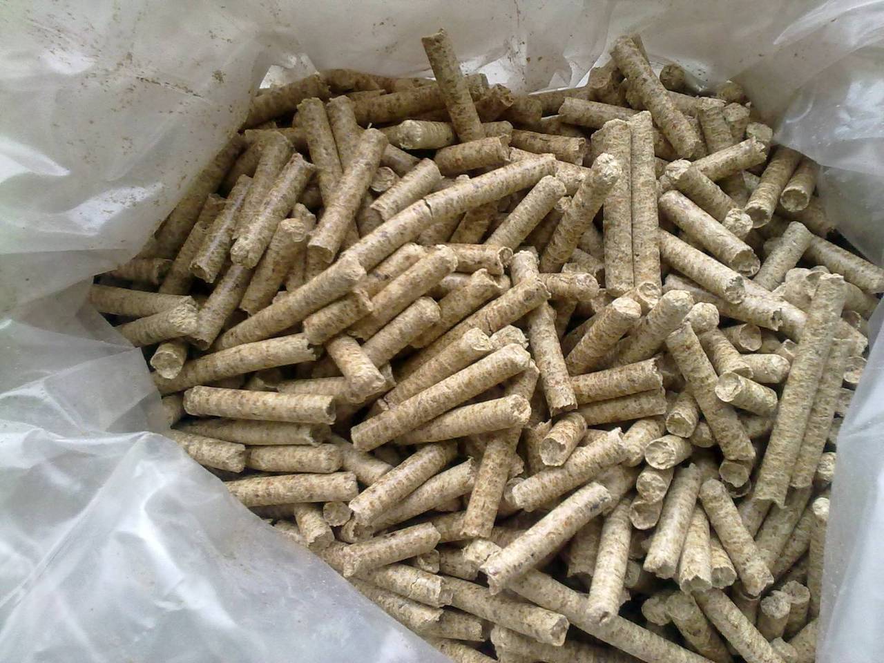 promtorgexport.ucoz.com