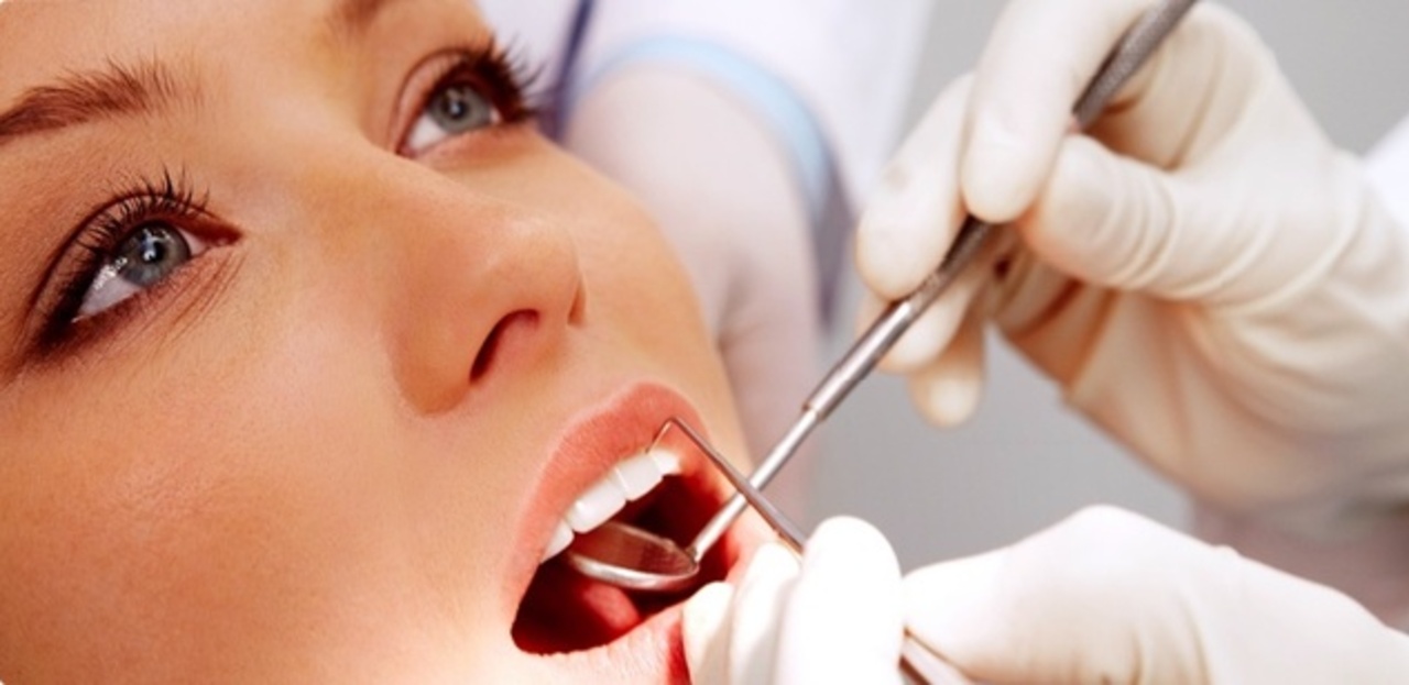 prezi-dent.ru