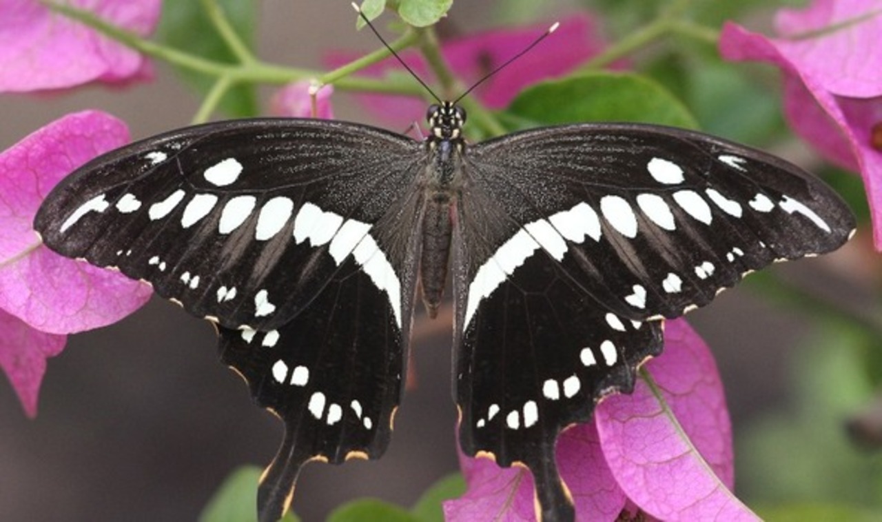 http://www.lsm.lv/