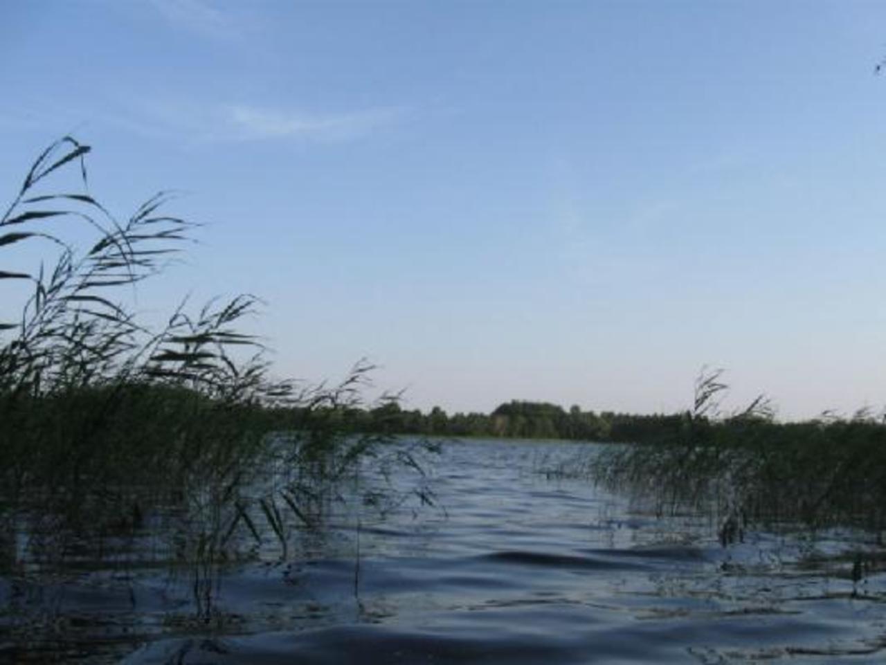 www.bolshakov.lv