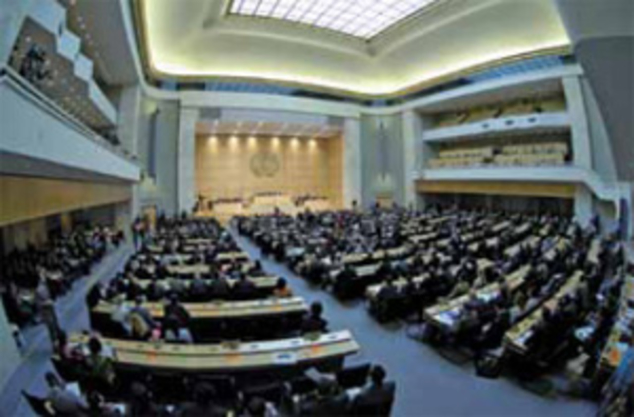 www.un.org