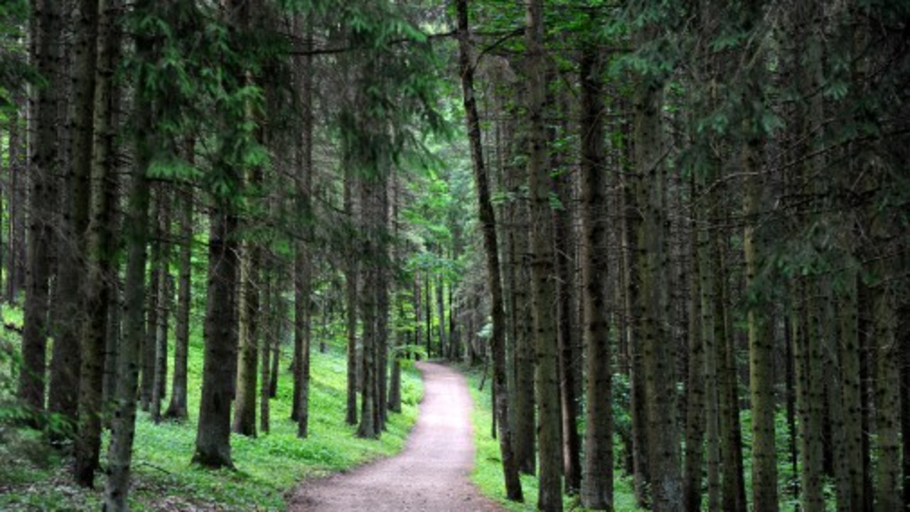 http://rus.tvnet.lv