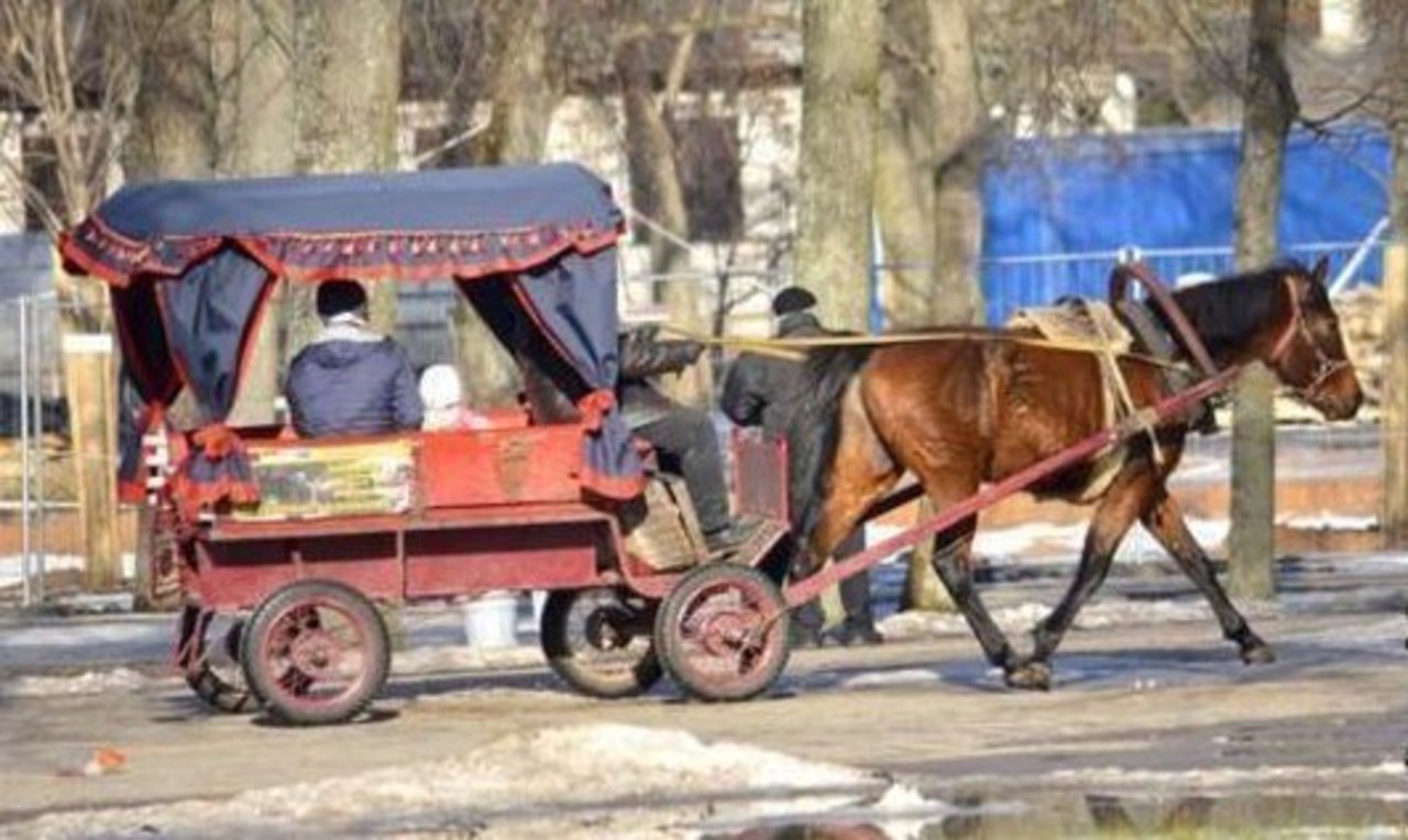 gorod.lv
