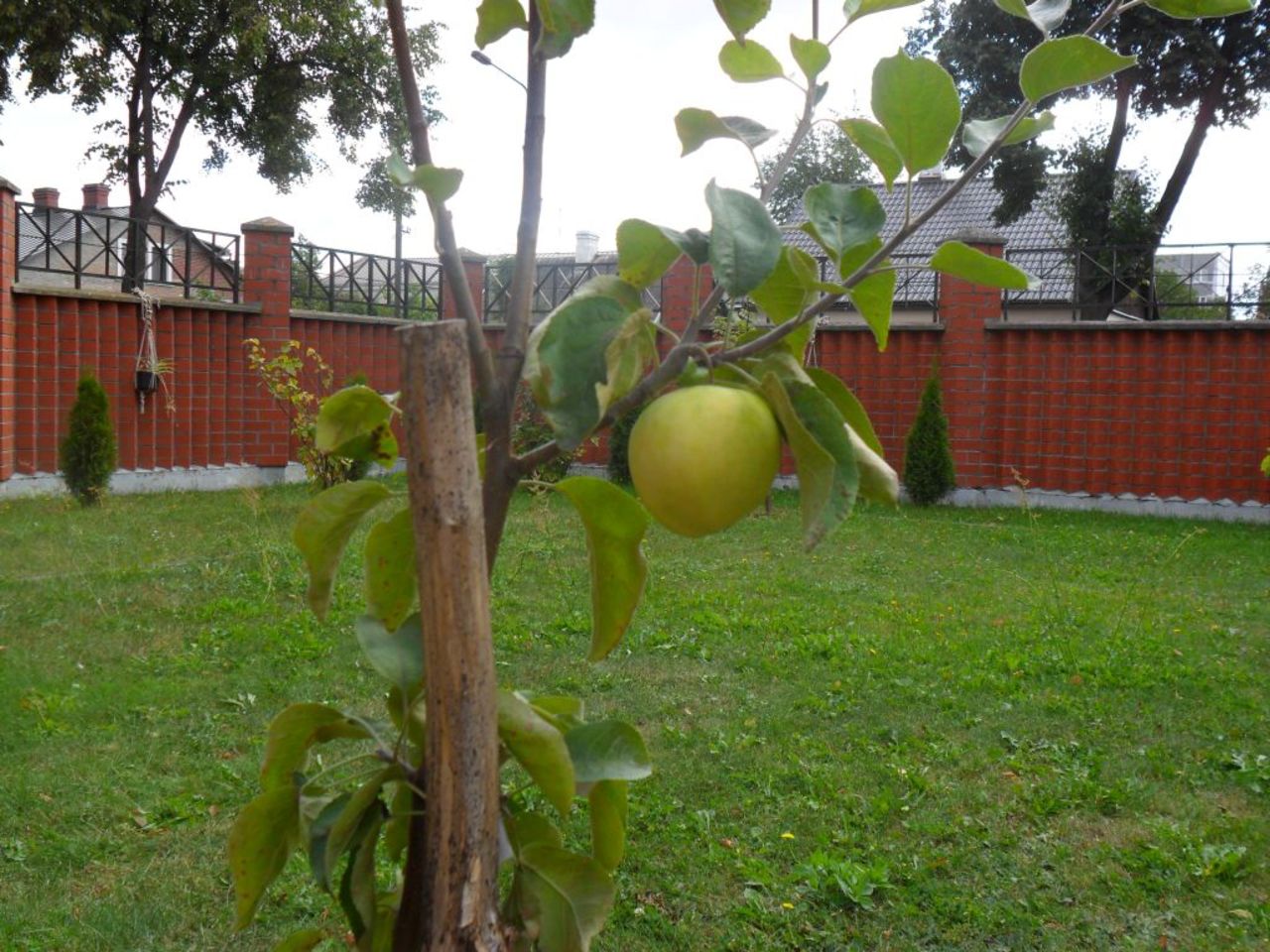Центр русской культуры