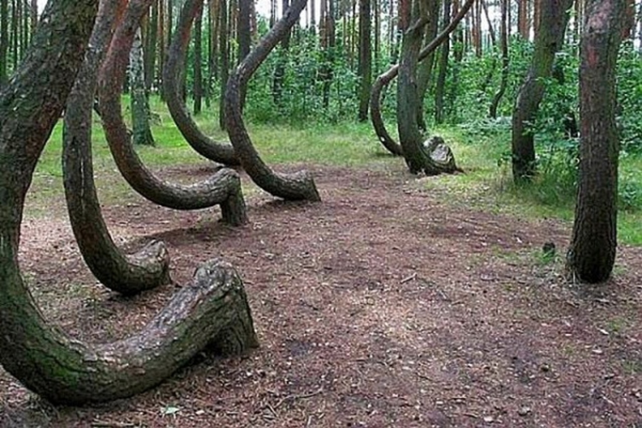 http://tekil.ru