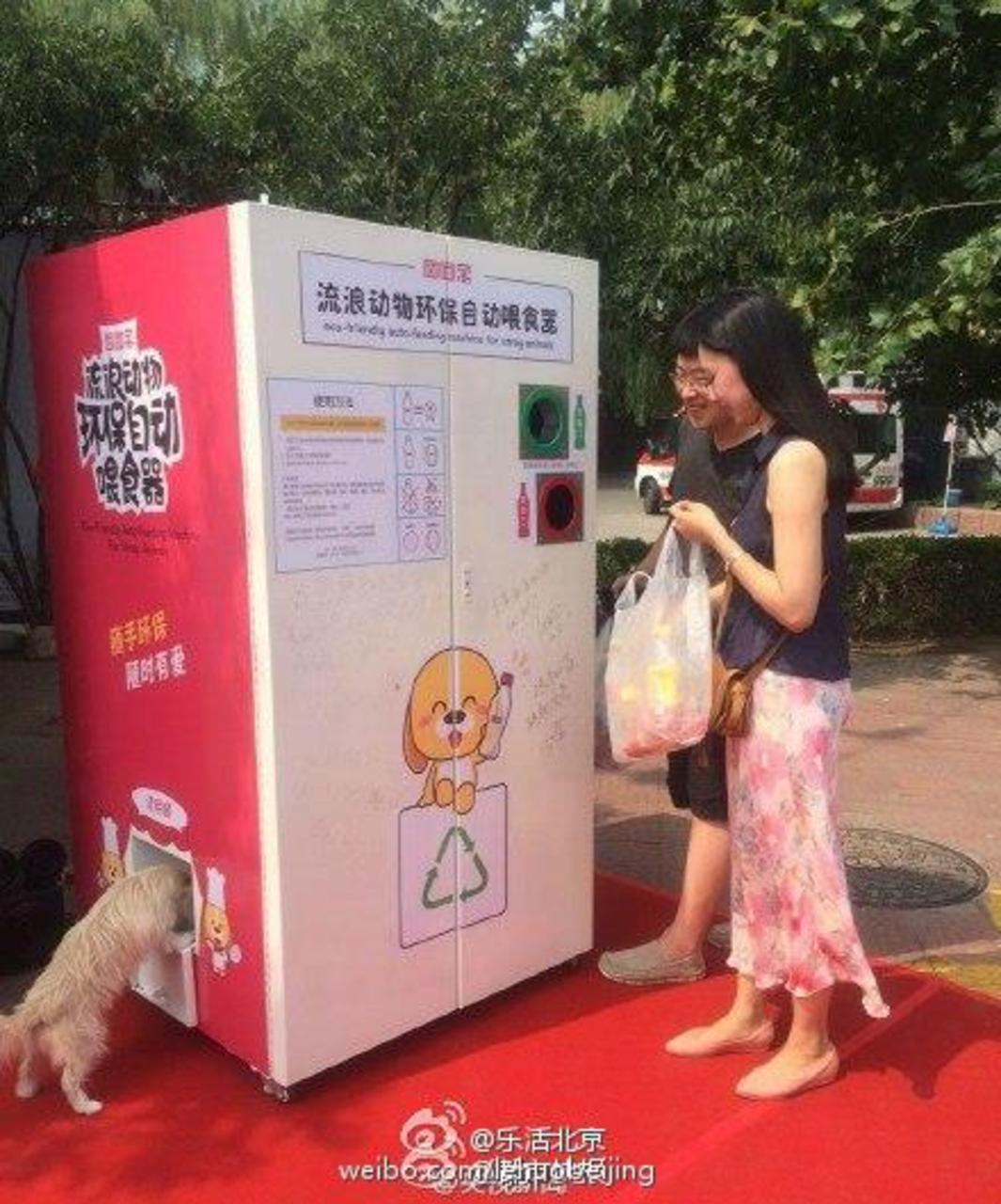 China.org.cn
