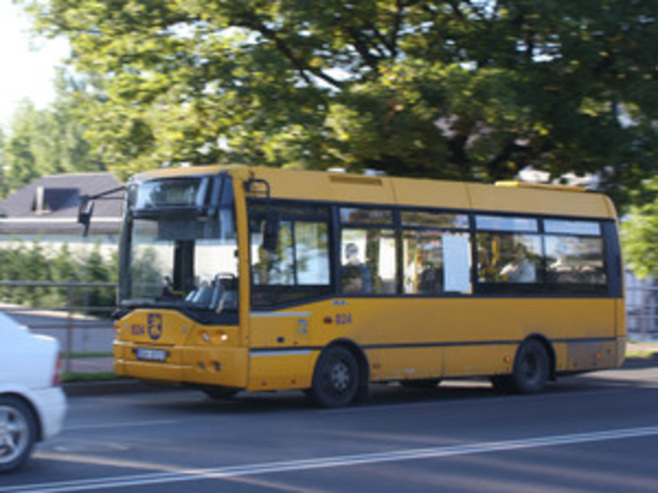 из архива думы