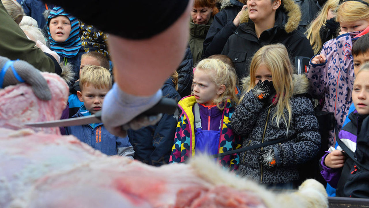 www.gazeta.ru