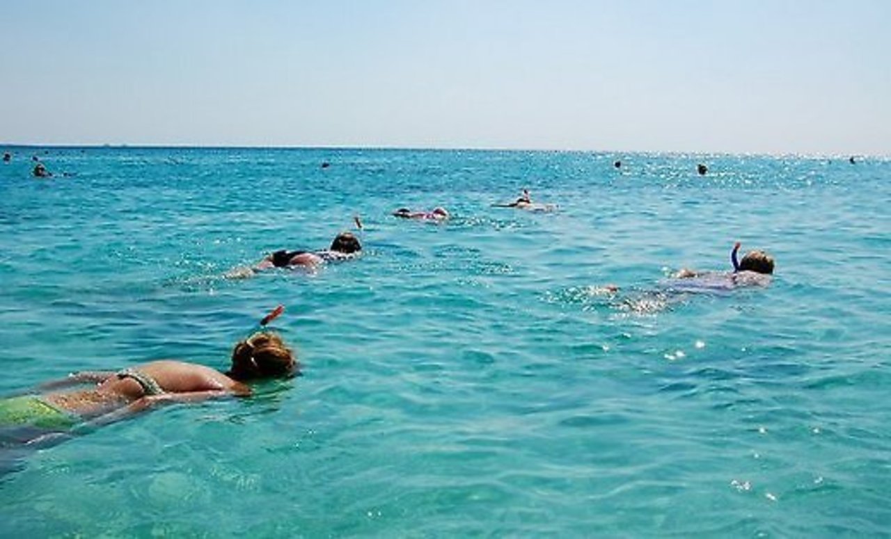 http://rus.delfi.lv