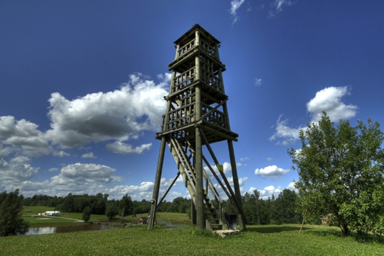 46.lv