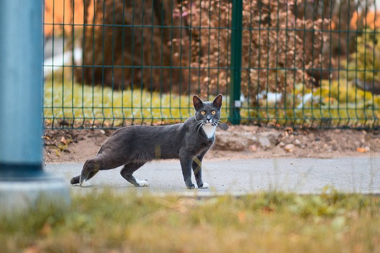 Фото: Виталий Бартуль