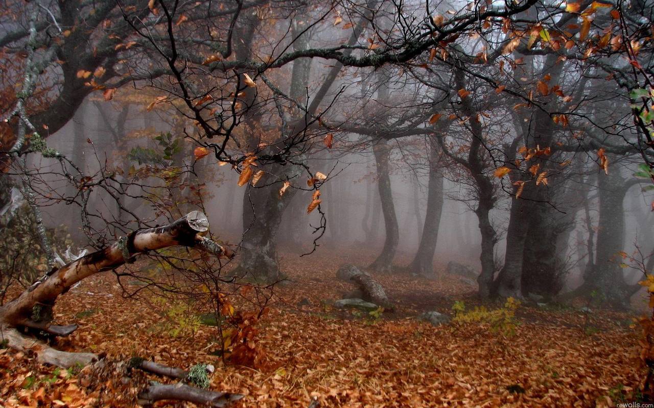 zaker.ru