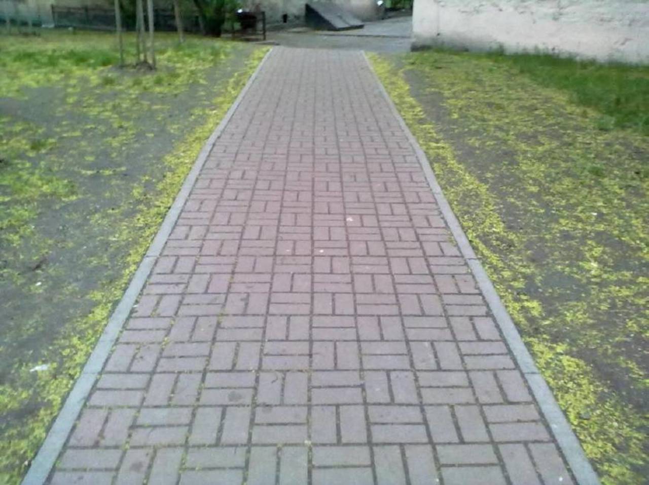 иллюстративное фото