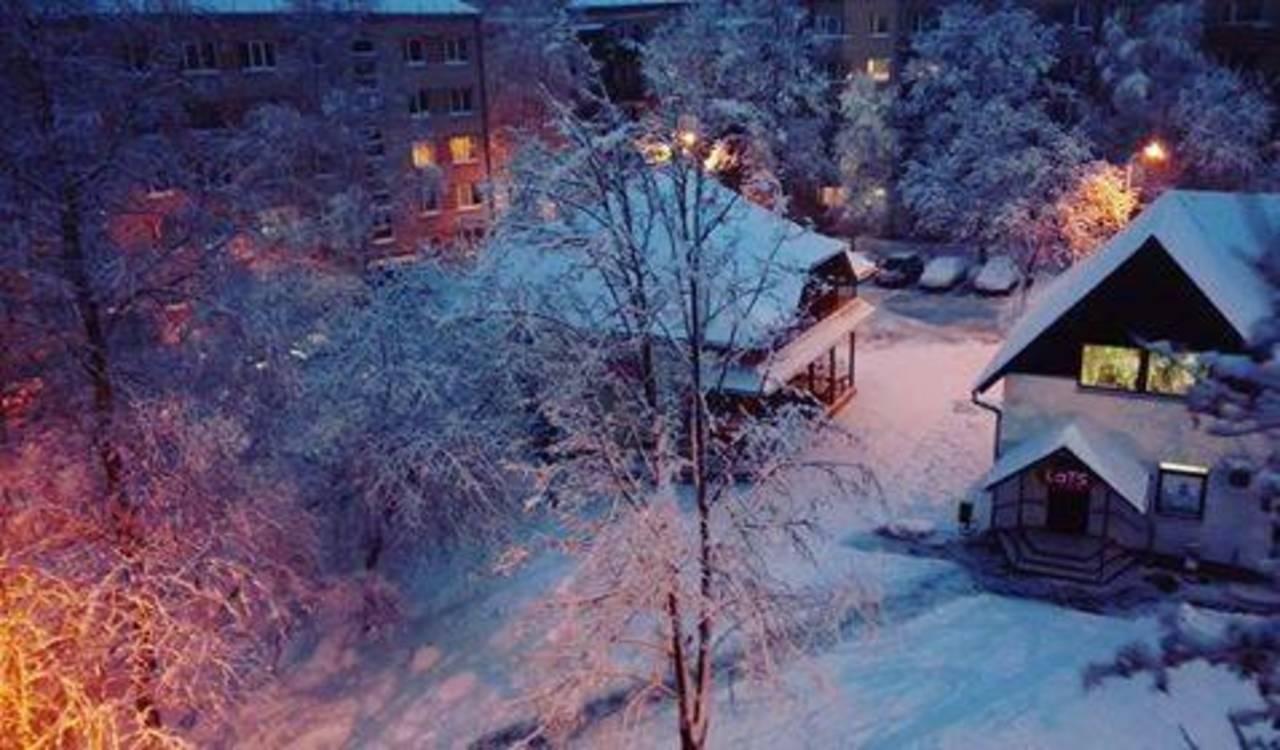 Светлана Петрова